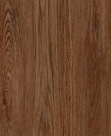 Techlam Wood OAK.jpg