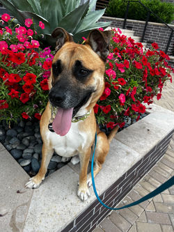 58D00703-C1AF-453F-9582-63A25E3BD426_L0_001-5_20_2023, 7_10_39 PM