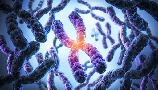 chromosome.jpg