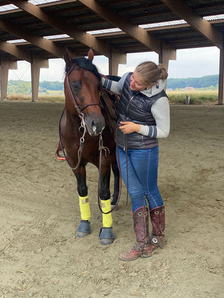 The Belgian Chapter: Dust, Dreams, and a Broken Back