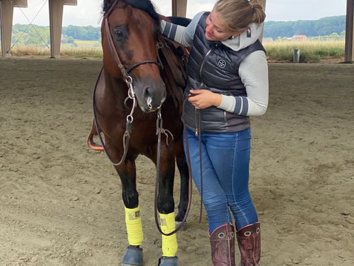 The Belgian Chapter: Dust, Dreams, and a Broken Back