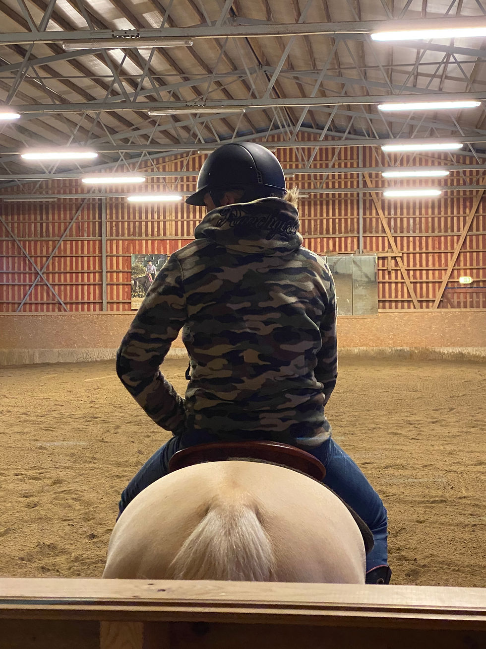 One of those moments, focusing on guidance from Siri. With me Sharp Starlight, one of many real teachers in my life.