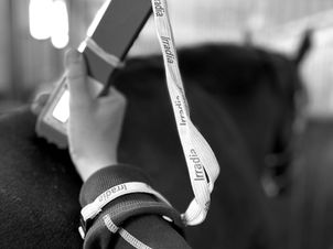 Laserterapia tukena eläinten kokonaisvaltaisessa hoidossa