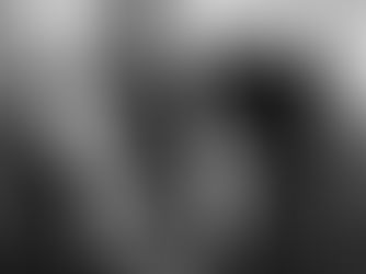 Laserterapia tukena eläinten kokonaisvaltaisessa hoidossa