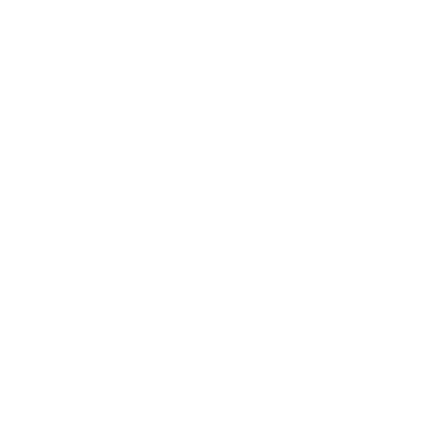 Hippocampus.png
