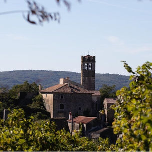 The country of origin effect