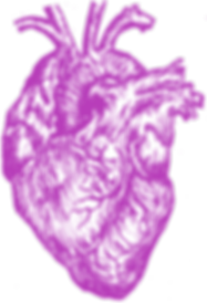 heart wip_edited.png