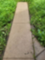 IMG-20240408-WA0021.jpg