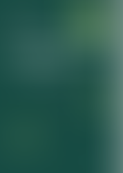 "Overall, outdoor individual hutches appear superior to indoor housing, and individual housing"