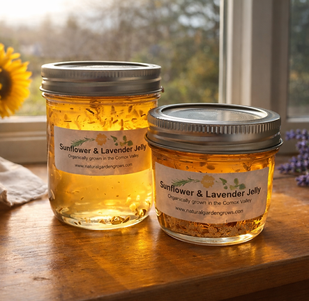 ChatGPT Image Feb 17, 2026, 04_54_45 PM.png