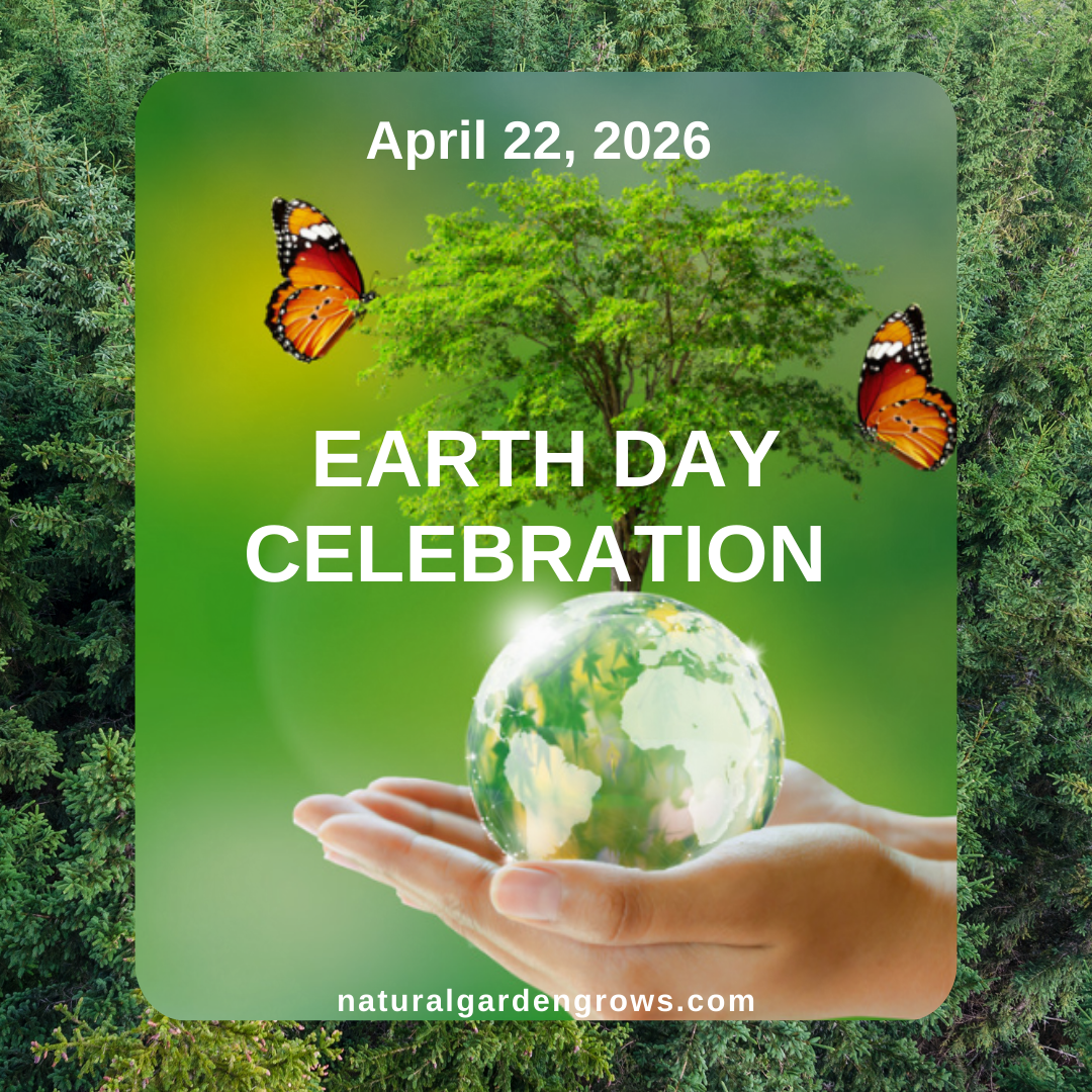 Service Wild Edible Plant walk