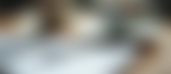 המסלול הבטוח להשקעות עבור מתחילים - מדריך צעד אחר צעד