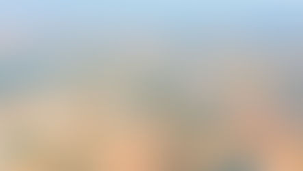 ההשקעה בקרקעות בזכרון יעקב והזדמנויות שוק נוספות בישראל