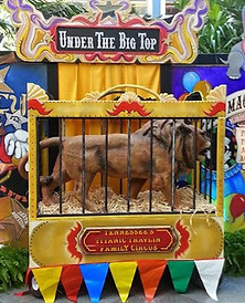 Circus Themed Event Decor