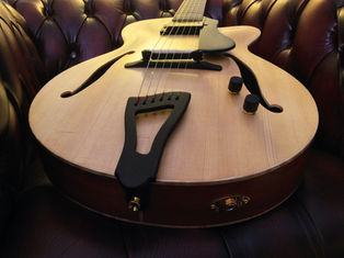 THE NEW FIBONACCI AMBASSADOR COMING SOON!