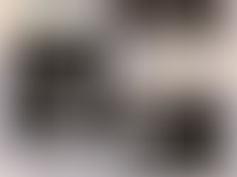 FIBONACCI GUITARS MARCH 2022 NEWSLETTER