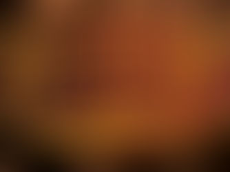 FIBONACCI GUITARS IN THE USA!