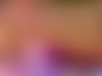 The Great Guitars On Tour