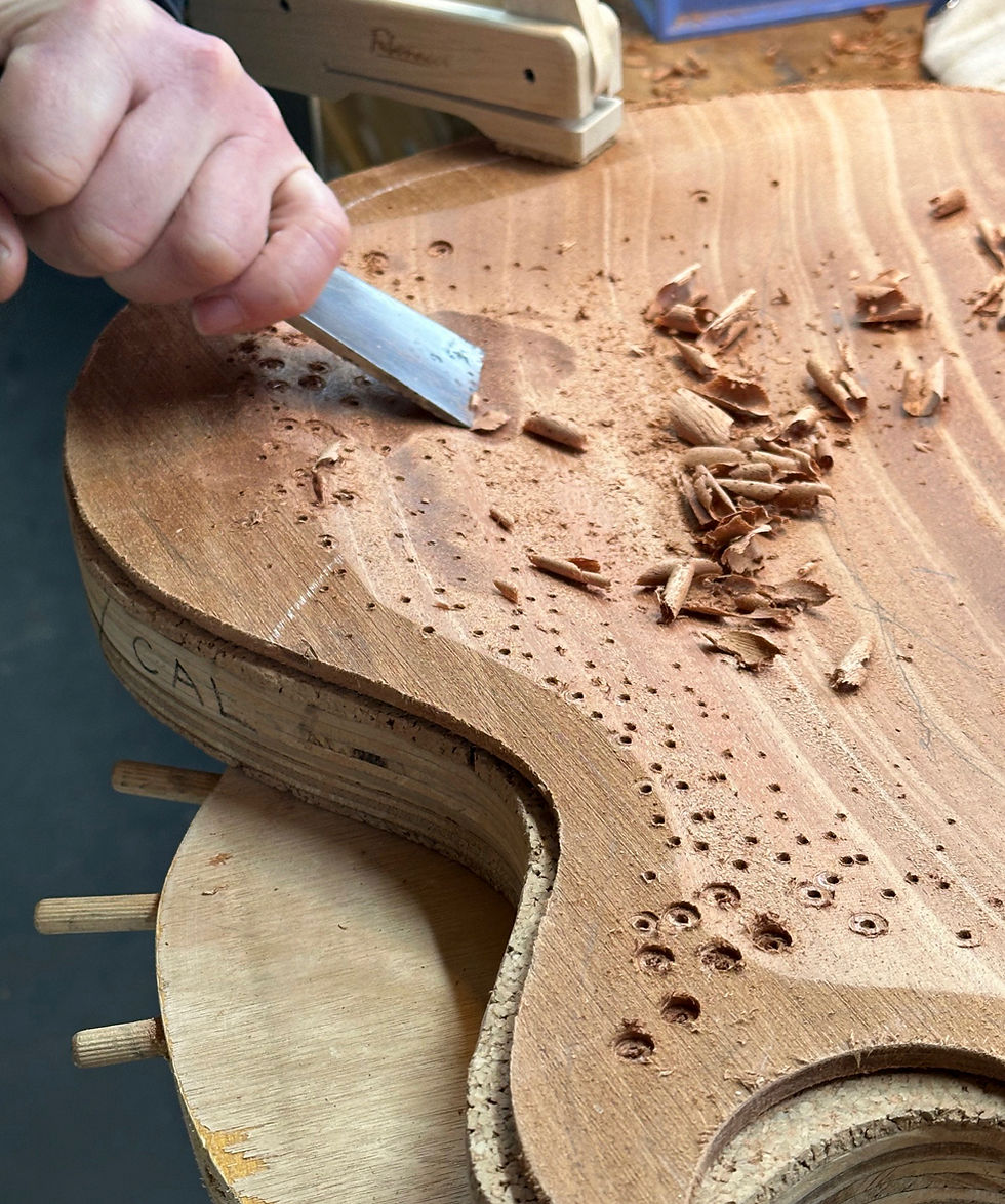 Fibonacci Guitars Archtop Guitars