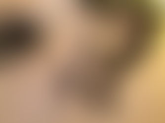 THE FIBONACCI AMBASSADOR COMING SOON!