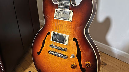 ギター FIBONACCI GUITARS ProtoModel ES-335type FIBONACCI GUITARS ProtoModel ES-335type - メルカリ