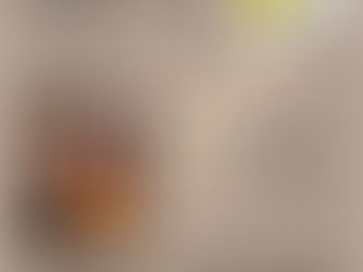 FIBONACCI GUITARS JANUARY 2018 NEWSLETTER!