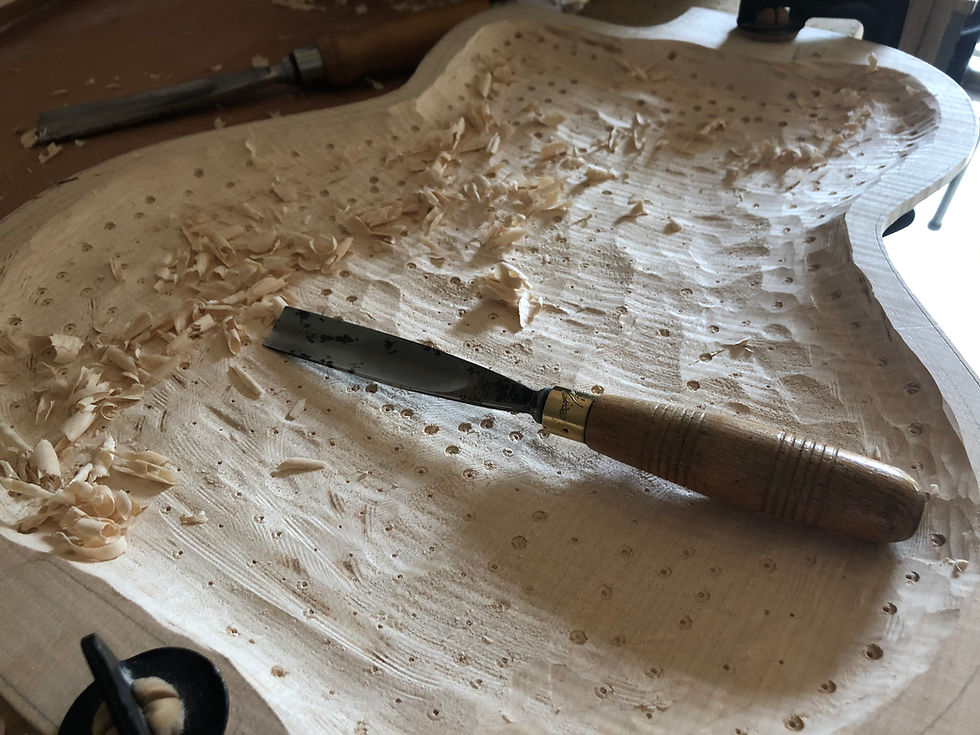 FIBONACCI GUITARS