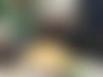 DECISIONS DECISIONS!