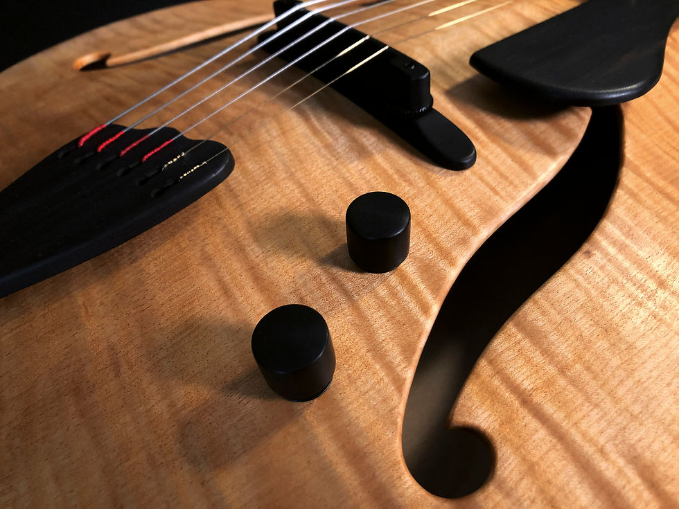 FIBONACCI GUITARS