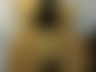 REVISED ROMA TAILPIECE