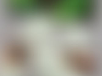 FIBONACCI GUITARS MARCH 2018 NEWSLETTER!