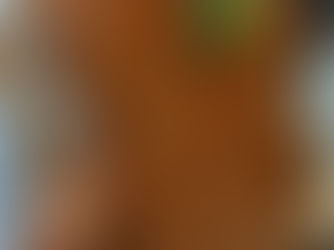 A COUPLE OF 'WORK IN PROGRESS' PICTURES OF THE NEW MARTIN TAYLOR JOYA ARCHTOP