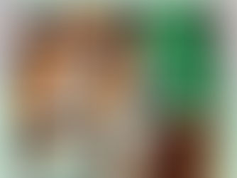 FIBONACCI GUITARS FEBRUARY NEWSLETTER