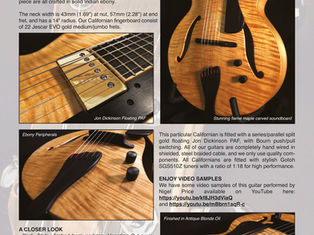 FIBONACCI GUITARS JUNE 2021 NEWSLETTER