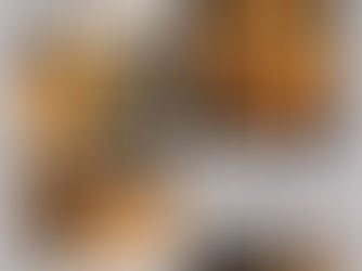 FIBONACCI GUITARS JUNE 2021 NEWSLETTER