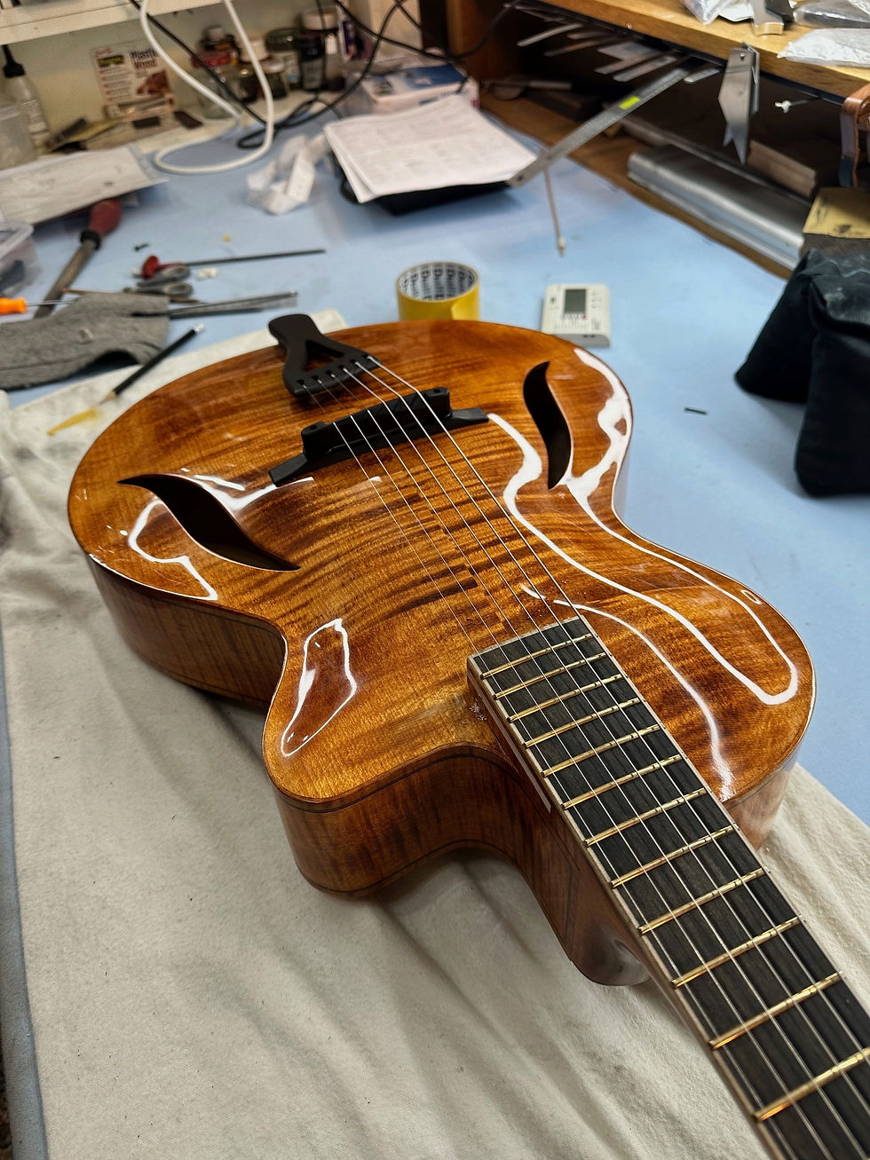 FIBONACCI GUITARS