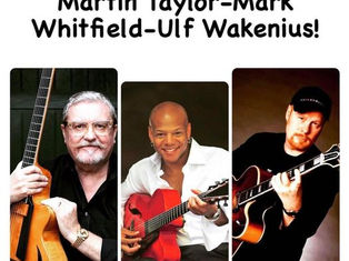 THE GREAT GUITARS IN SWITZERLAND! February 28th - March 4th 2023