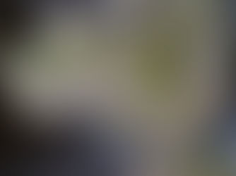 FIBONACCI AMBASSADOR - WORK IN PROGRESS