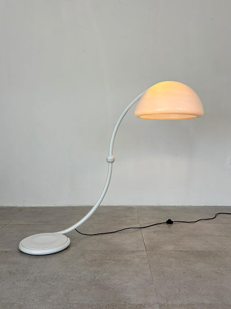 WhatsApp Image 2026-01-14 at 15.14.25.jpeg