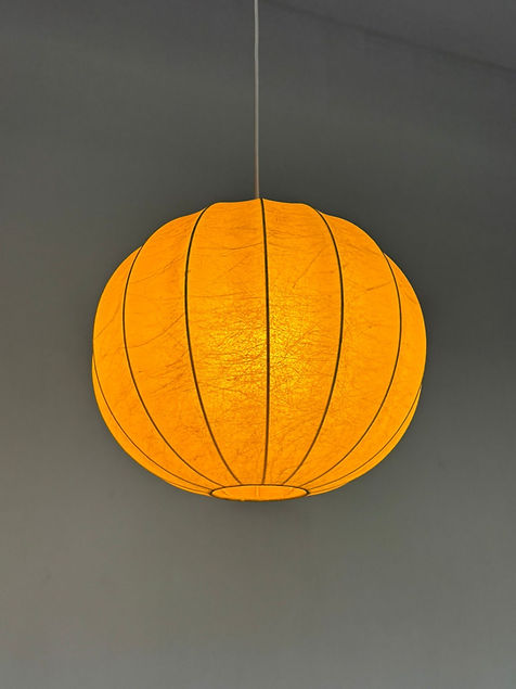 WhatsApp Image 2026-01-14 at 14.46.44 (1).jpeg