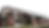 BRADFORD PINEStransparent.png