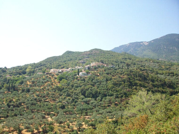 Selegoudi_1.jpg