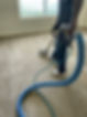 Professional-carpet-cleaning-services-in-upstate-SC-00.jpg
