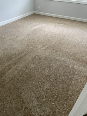 Carpet cleaning home