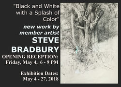 2018 May - Steve Bradbury