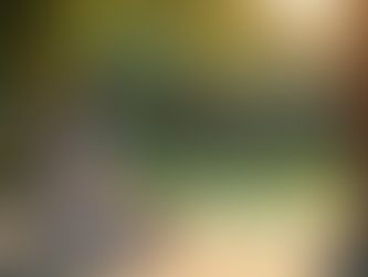 A calming outdoor space for community gatherings