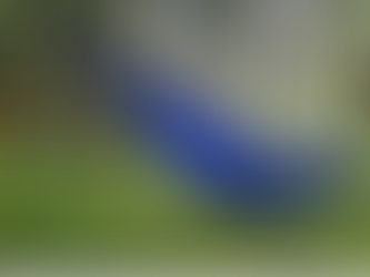 Hängematten Time out - Mikroabenteuer in der VII. BPA