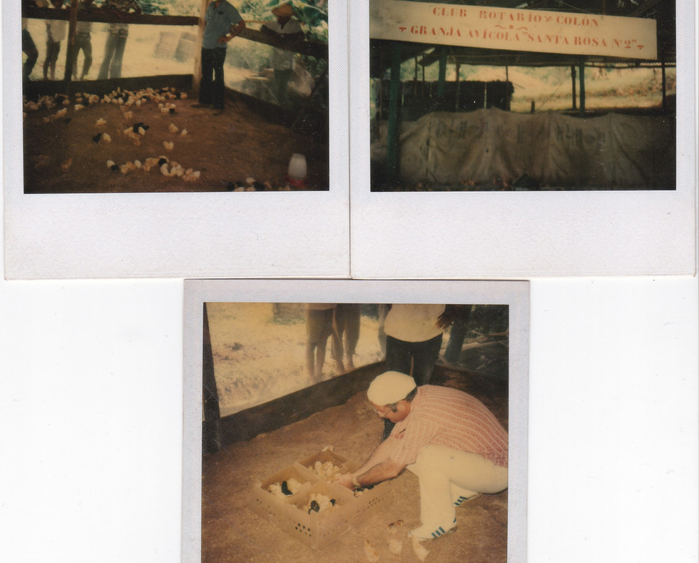 Granja de Pollos.jpg