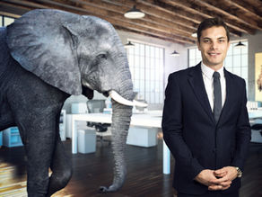 Expose: The Elephant in the Room