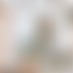 Exteriores diseño desertico, cactus, plantas deserticar